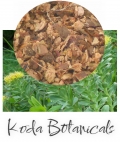 Rhodiola / Rose Root organic dried root 40g